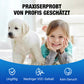 🔥Heißer Verkauf 49% Rabatt✨Wasserdichtes Dichtspray zur Abdichtung