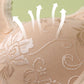🤩Kaufen Sie 1 und erhalten Sie 1 gratis 🤩Bequemer, nahtloser Damen-BH ohne Bügel mit Frontverschluss